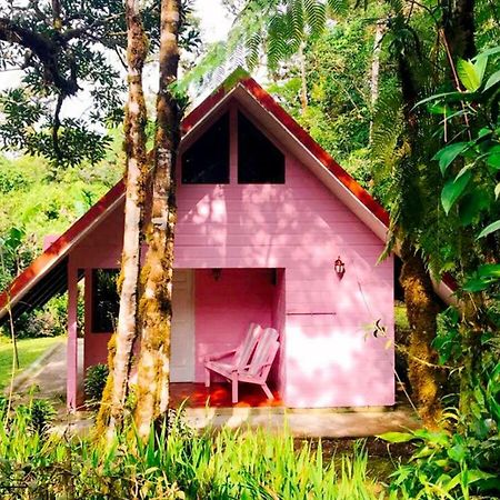 Cabanas Las Orquideas Zapotal  Exterior foto