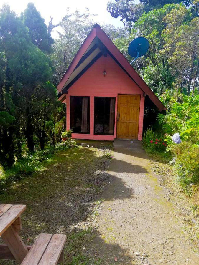 Cabanas Las Orquideas Zapotal  Zimmer foto