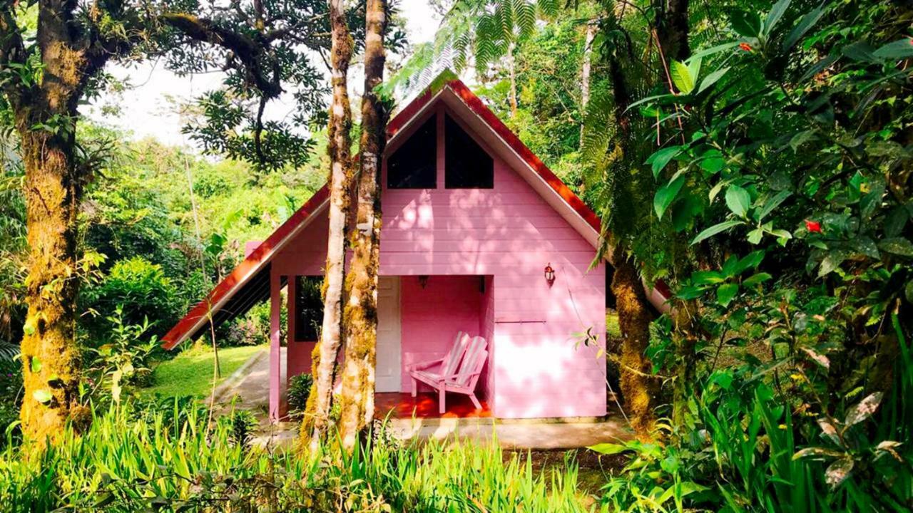 Cabanas Las Orquideas Zapotal  Exterior foto
